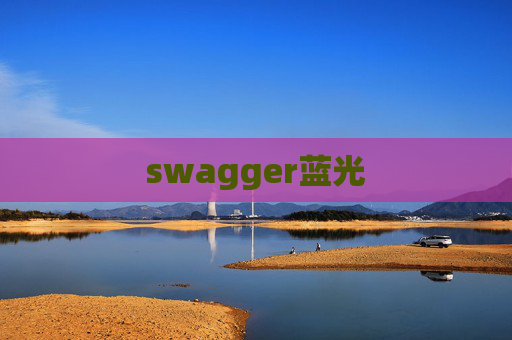 swagger蓝光